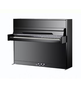 Photo Schimmel Europe E116 Modern